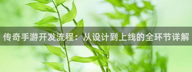 三牛娱乐网站：传奇手游开发流程：从设计到上线的全环节详解