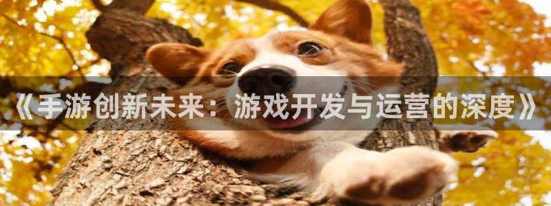 三牛娱乐挂机：《手游创新未来：游戏开发与运营的深度》
