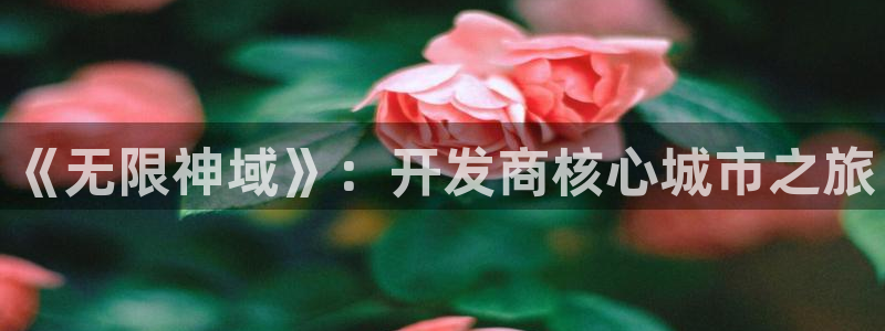 三牛娱乐官网登录入口下载：《无限神域》：开发商核心城市之旅