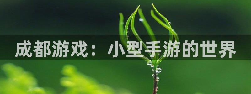 三牛娱乐官网登录入口下载手机版：成都游戏：小型手游的世界