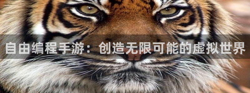 三牛娱乐是网络诈骗平台吗：自由编程手游：创造无限可能的虚拟世