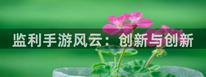 三牛娱乐负责人