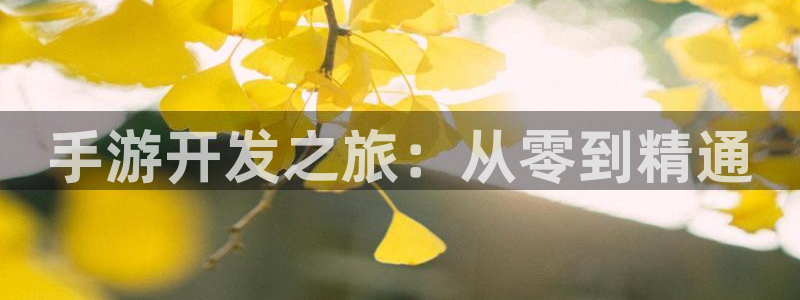 三牛娱乐挂机：手游开发之旅：从零到精通