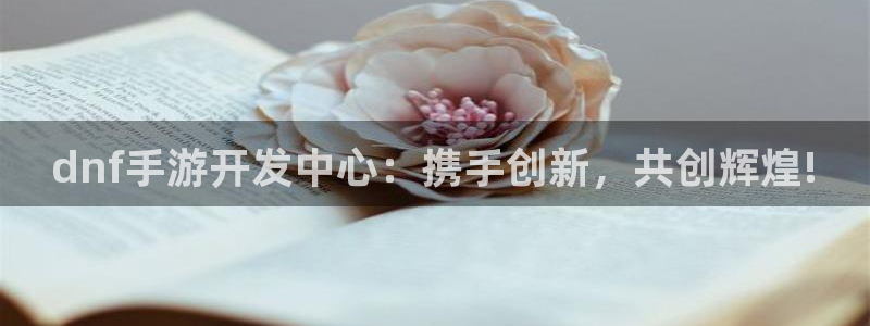 三牛娱乐负责人是谁：dnf手游开发中心：携手创新，共创辉煌!