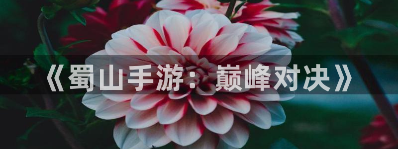三牛娱乐如何注册：《蜀山手游：巅峰对决》