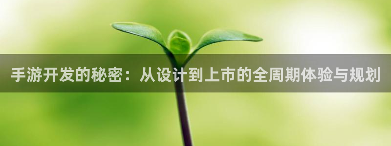 三牛娱乐官网：手游开发的秘密：从设计到上市的全周期体验与规划