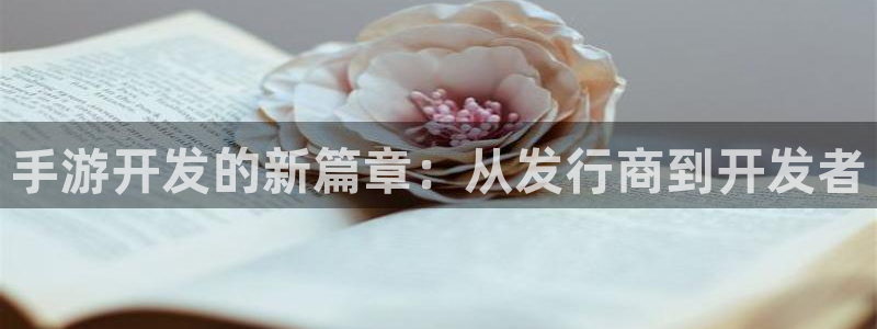 三牛娱乐负责人：手游开发的新篇章：从发行商到开发者