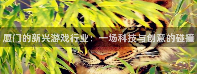三牛娱乐挂机软件下载：厦门的新兴游戏行业：一场科技与创意的碰
