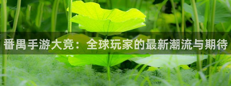 三牛娱乐官网登录入口下载安装：番禺手游大竞：全球玩家的最新潮
