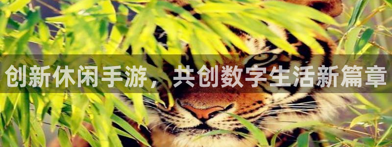 三牛娱乐测速系统app：创新休闲手游，共创数字生活新篇章