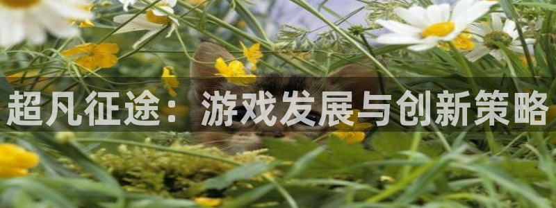 三牛娱乐测速系统：超凡征途：游戏发展与创新策略