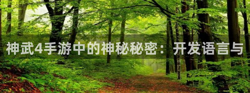 三牛娱乐官网登录入口下载：神武4手游中的神秘秘密：开发语言与