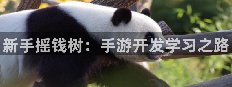 三牛娱乐管网客服电话：新手摇钱树：手游开发学习之路