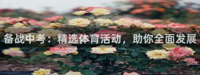 bbin视讯下