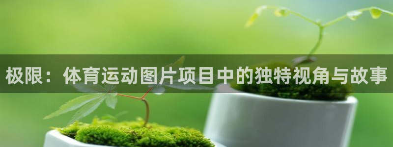 bbin视讯游戏官网：极限：体育运动图片项目中的独特视角与故事