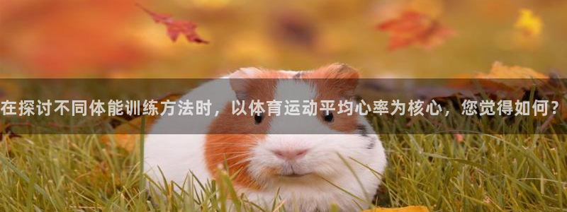 bbin视讯下：在探讨不同体能训练方法时，以体育运动平均心率为核心，您觉得如何？