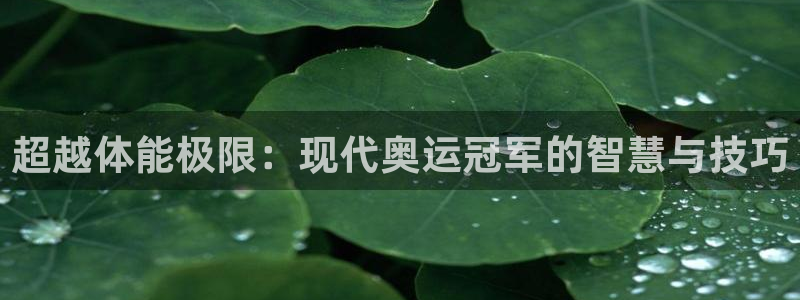 bbin视讯游戏平台：超越体能极限：现代奥运冠军的智慧与技巧