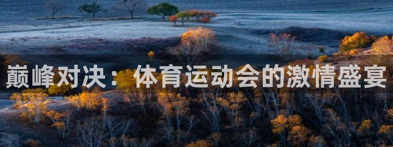 bbin视讯下：巅峰对决：体育运动会的激情盛宴