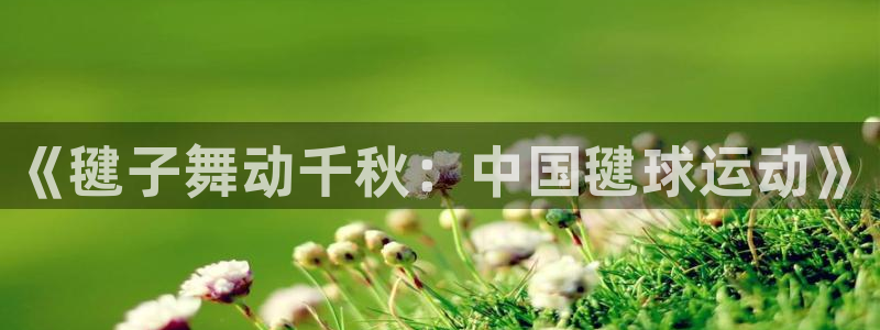 bbin视讯：《毽子舞动千秋：中国毽球运动》