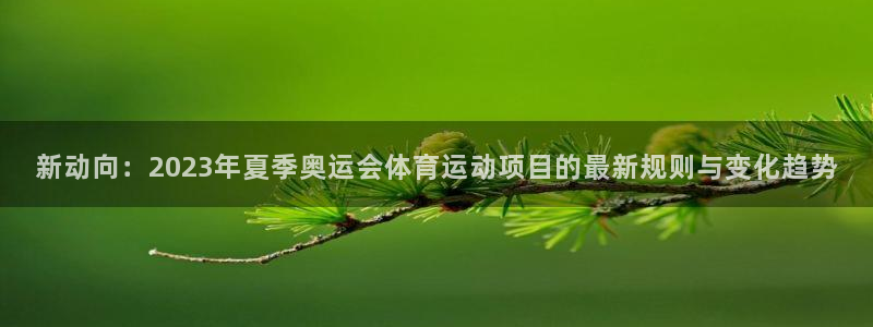 bbin视讯游戏官网：新动向：2023年夏季奥运会体育运动项目的最新规则与变化趋势