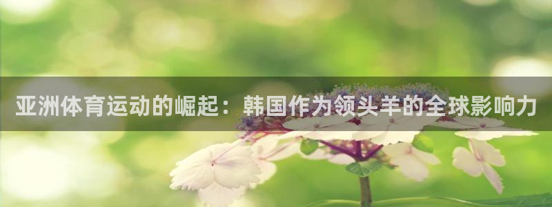 bbin视讯：亚洲体育运动的崛起：韩国作为领头羊的全球影响力