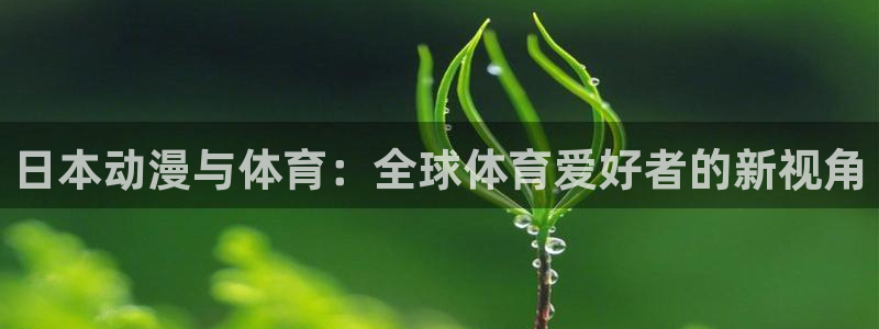 bbin视讯游戏官网：日本动漫与体育：全球体育爱好者的新视角